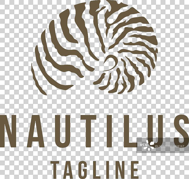 鹦鹉螺外壳标志图片素材