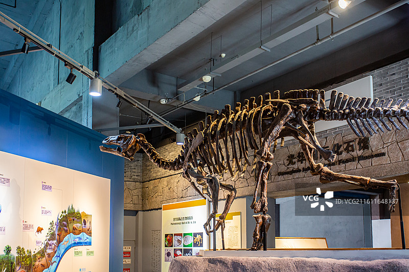 江苏省无锡市中华赏石园景区恐龙化石图片素材