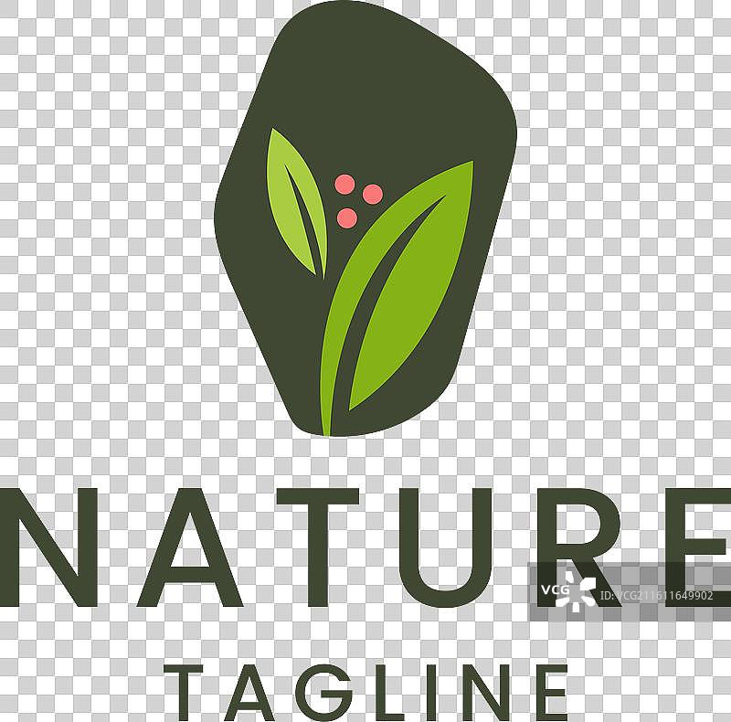 自然石材与叶子标志图片素材