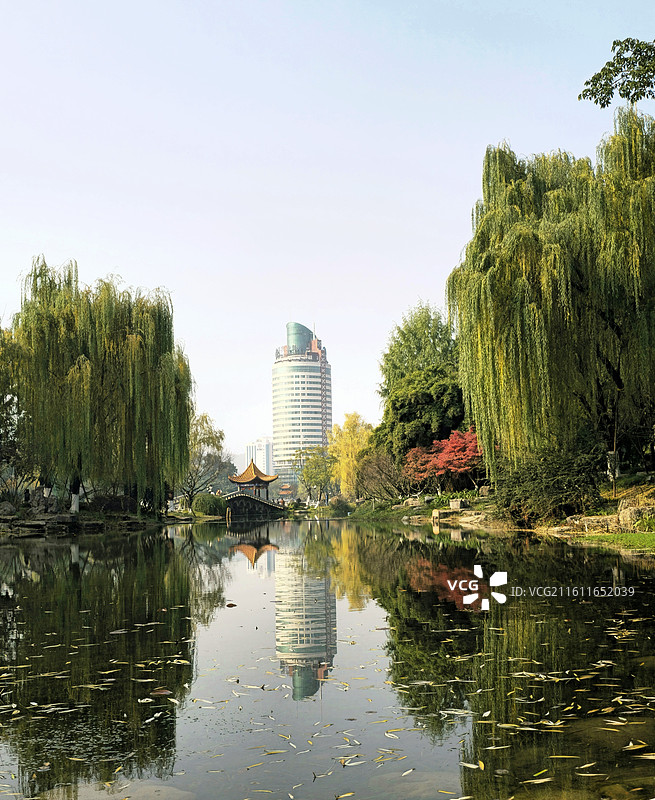 城湖秋韵：拍摄于南充北湖公园。图片素材