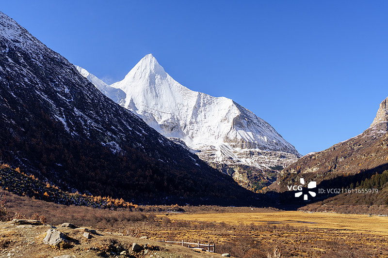 秋日稻城亚丁，央迈勇雪山巍然矗立于高原蓝天之下图片素材