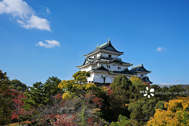 日本和歌山县和歌山市，和歌山城图片素材