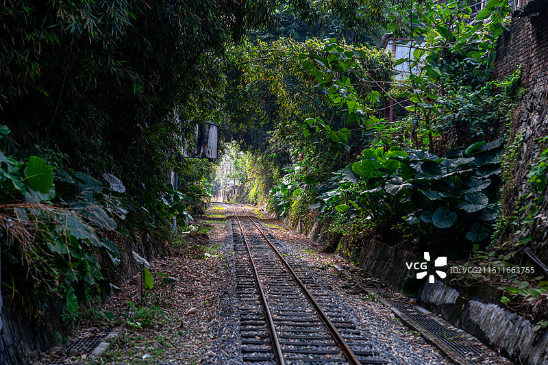 森林中的铁路 建西森林小火车铁轨图片素材