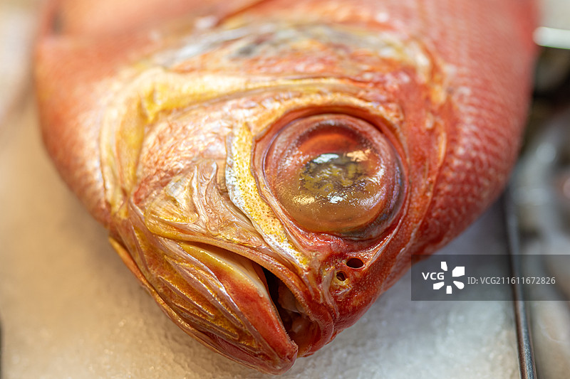 菜市场蔬菜鱼类圣诞特写图片素材