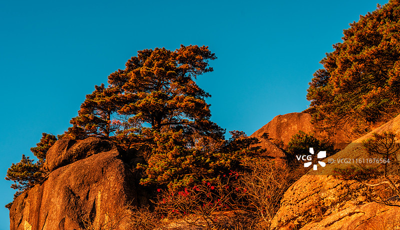黄山日落（鳌鱼峰、海心亭、光明顶）图片素材