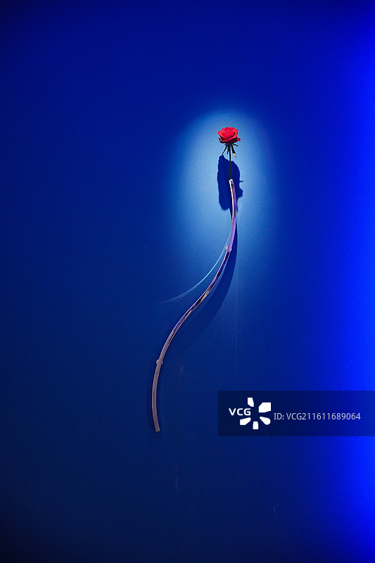 日本九州福冈皇宫酒店建筑色彩几何艺术设计感室内室外空间图片素材