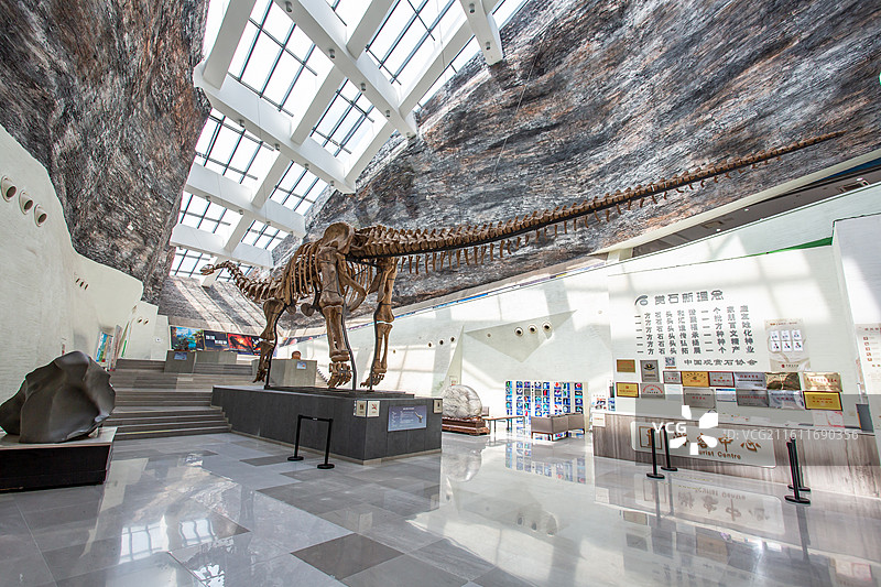 江苏省无锡市中华赏石园景区恐龙化石图片素材