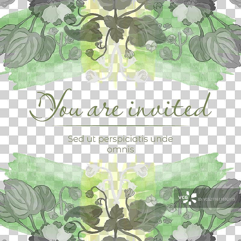 盛开的室内盆栽植物的隔离画框图片素材