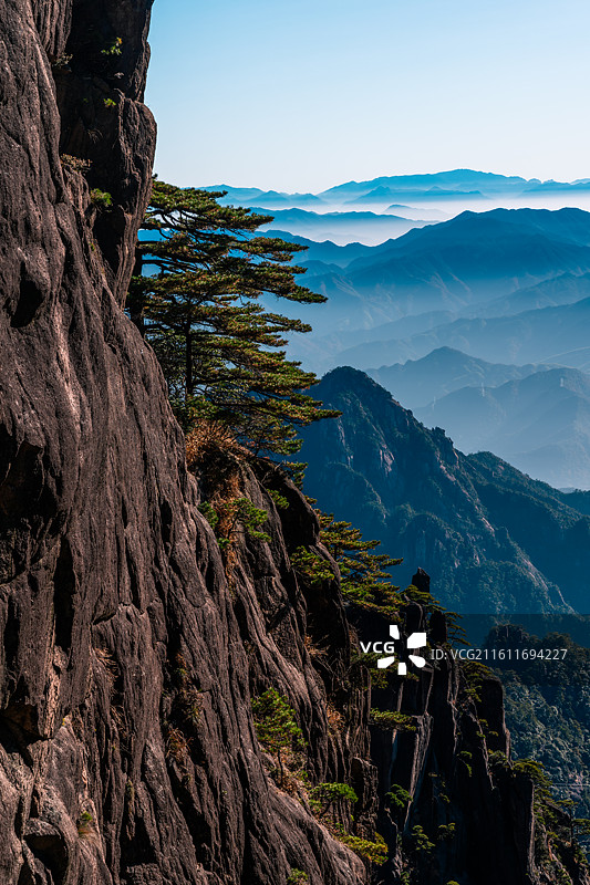 黄山（光明顶-高山草甸-仙桃石-大王松-排云亭）图片素材