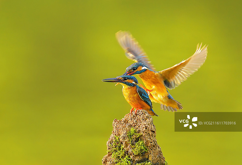 干活去~图片素材