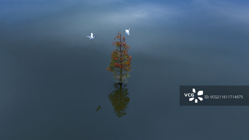 新旧交替搜迎新年图片素材