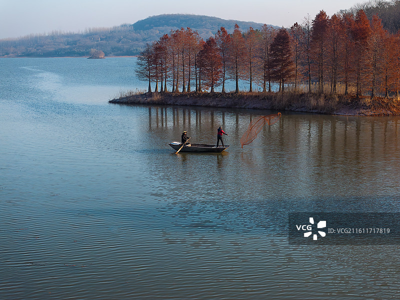 冬日生态画卷-航拍江苏淮安盱眙县清晨薄雾中标志性湖心岛的天泉湖红色的落羽杉林及撒网捕鱼的渔的渔民渔船图片素材