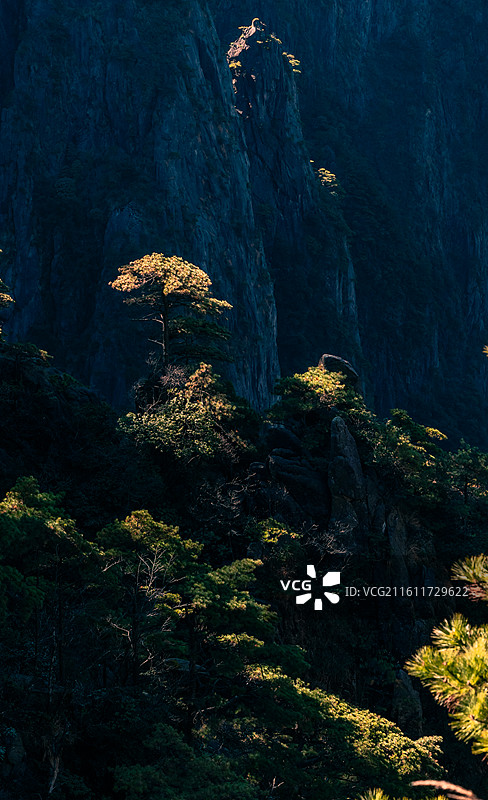 黄山（光明顶-高山草甸-仙桃石-大王松-排云亭）图片素材