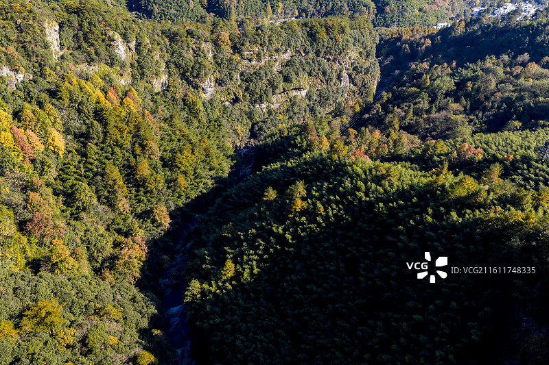 黄山翡翠谷景区图片素材