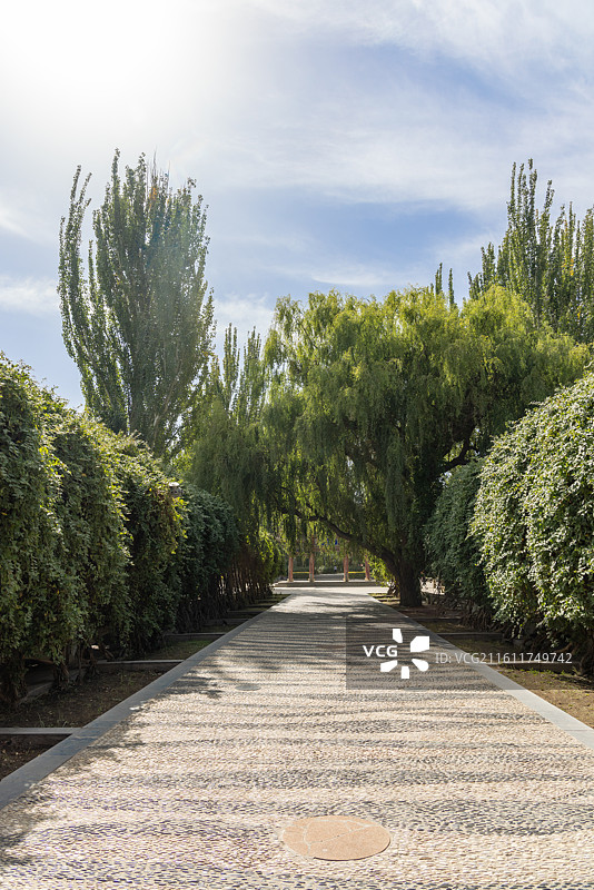 甘肃酒泉肃州区酒泉公园北门附近步道图片素材