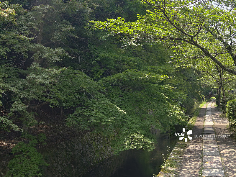 京都哲学之道 溪畔步道自然景观图片素材
