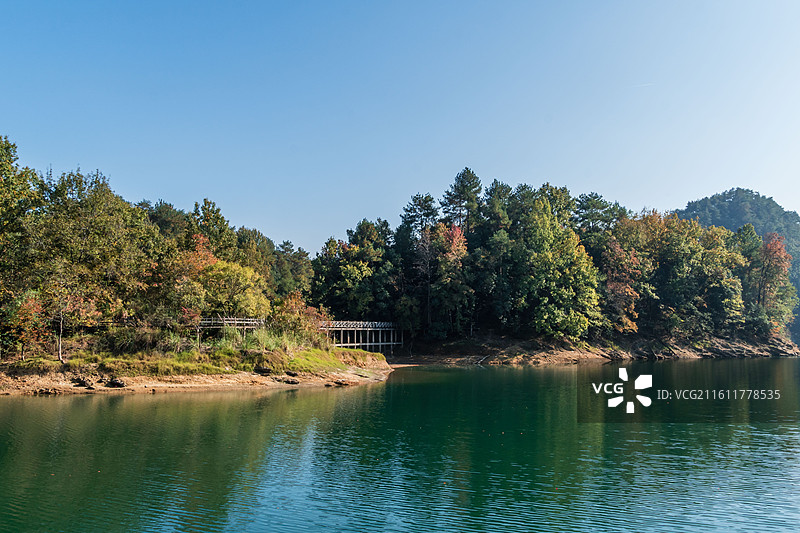 秋天的杭州千岛湖红叶湾，秋日森林与平静湖水图片素材