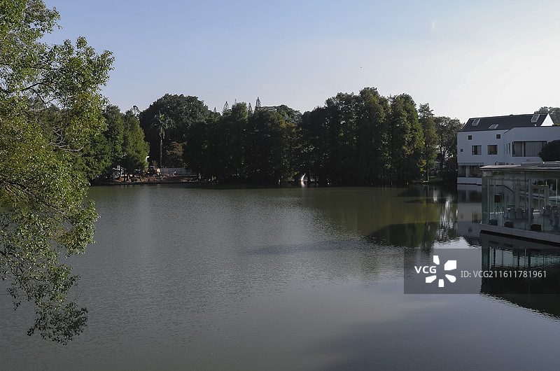 中国广东广州-中国科学院华南植物园-园林风景。徒步，散步，园林景色。奇花异草。图片素材