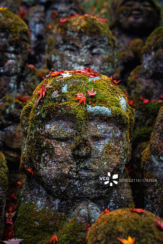 日本京都，岚山区域，爱宕念佛寺内，各种形态石雕小佛像图片素材