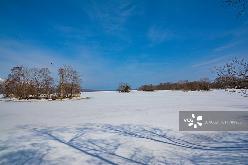 北海道，大沼国定公园，雪原图片素材
