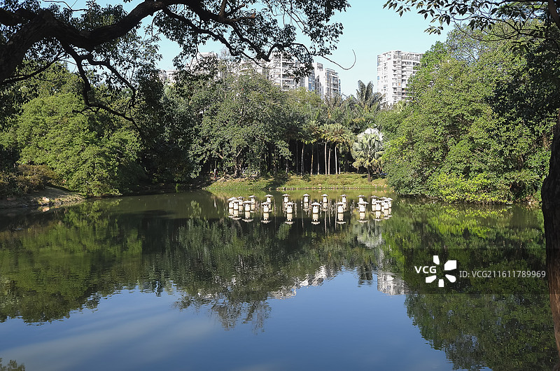 中国广东广州-中国科学院华南植物园-园林风景。徒步，散步，园林景色。奇花异草。图片素材