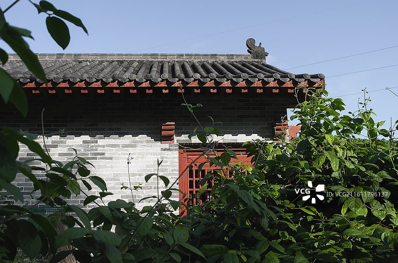 中国广东广州-中国科学院华南植物园-园林风景。徒步，散步，园林景色。奇花异草。图片素材