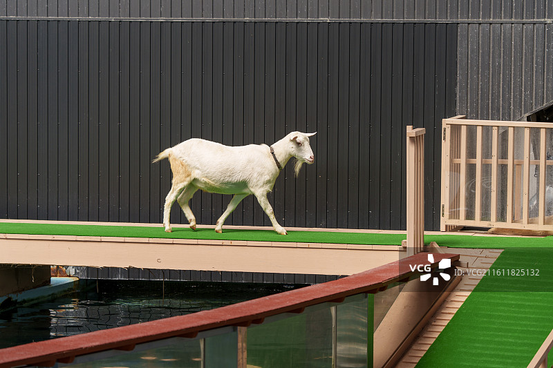 白滨海洋王国大冒险乐园图片素材