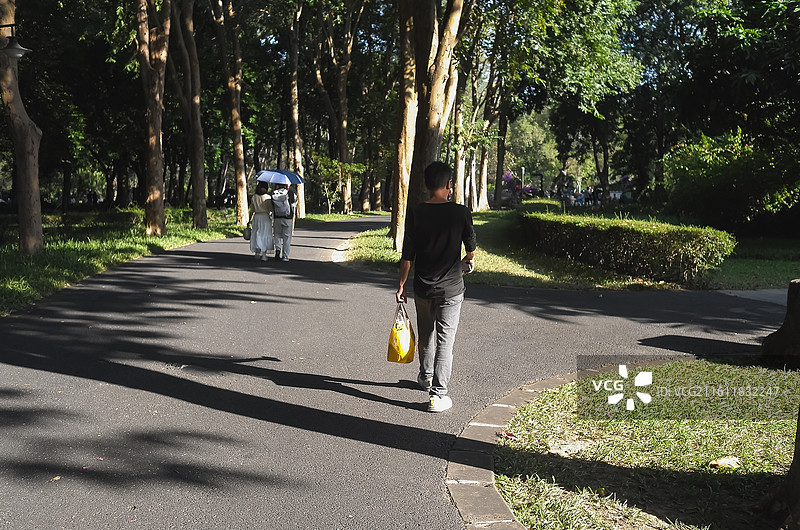 中国广东广州-中国科学院华南植物园-园林风景。徒步，散步，园林景色。奇花异草。图片素材