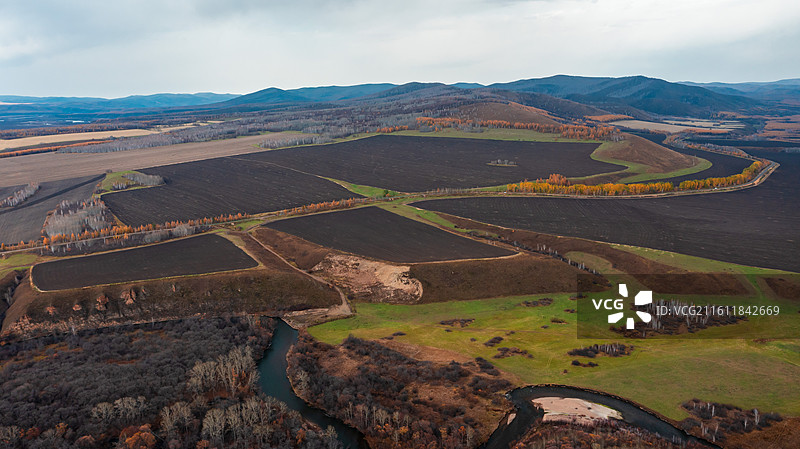鹰栖彩林：石韦边陲的秋日凌空画卷图片素材