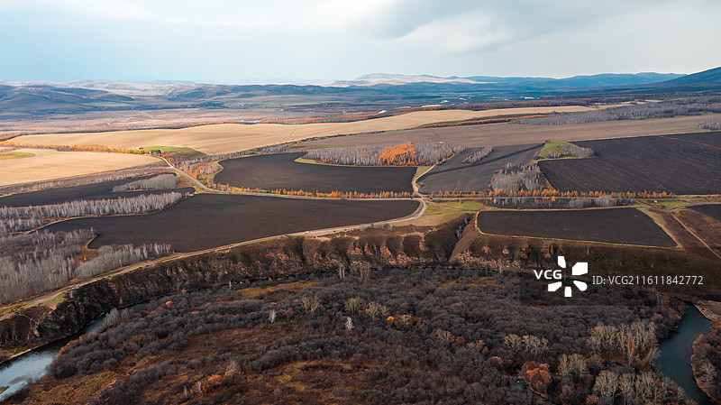鹰栖彩林：石韦边陲的秋日凌空画卷图片素材