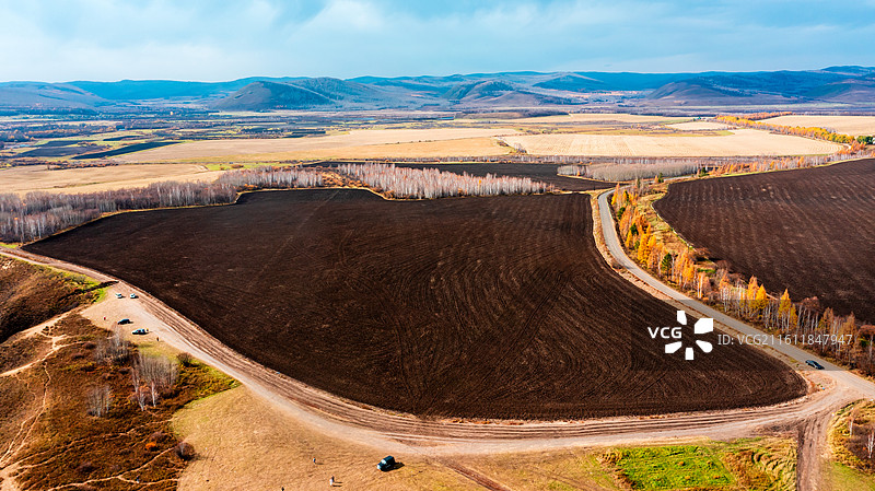 鹰栖彩林：石韦边陲的秋日凌空画卷图片素材