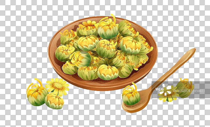 中国文化之中草药药材 野菊花 插画元素图片素材