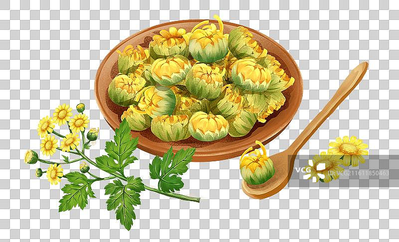 中国文化之中草药药材 野菊花 插画元素图片素材