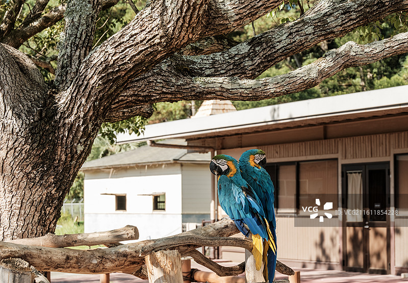 白滨海洋王国大冒险乐园图片素材