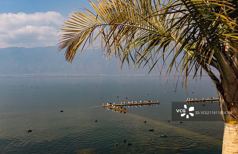 大理洱海风景图片素材