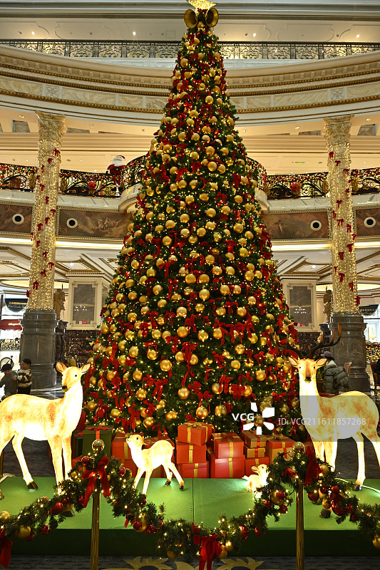 圣诞树图片素材