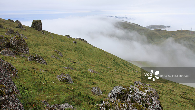 云海缥缈的云南高山草甸花石头山图片素材