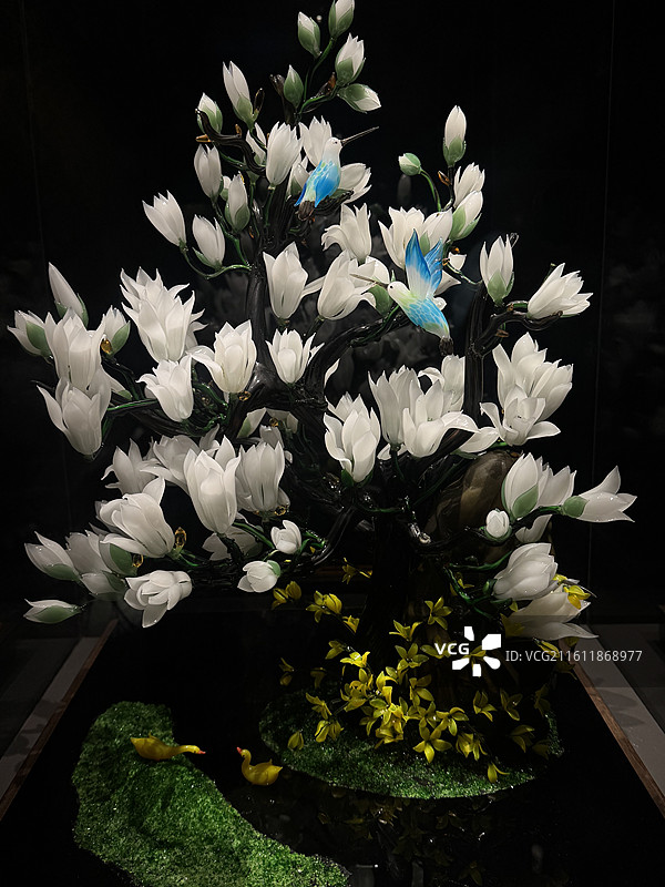 琉璃博物馆-白玉兰图片素材