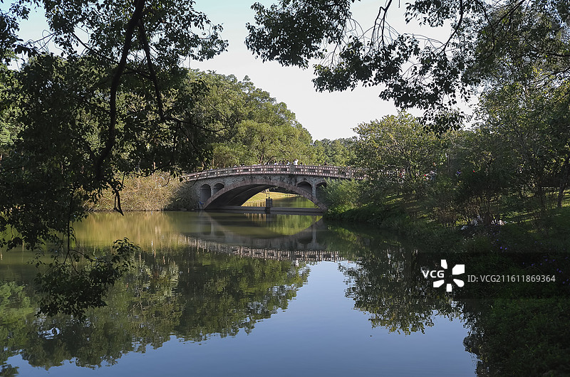 中国广东广州-中国科学院华南植物园-园林风景。徒步，散步，园林景色。奇花异草。图片素材