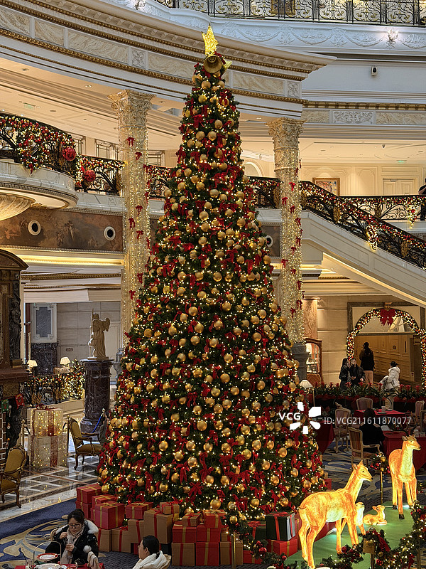 圣诞树图片素材