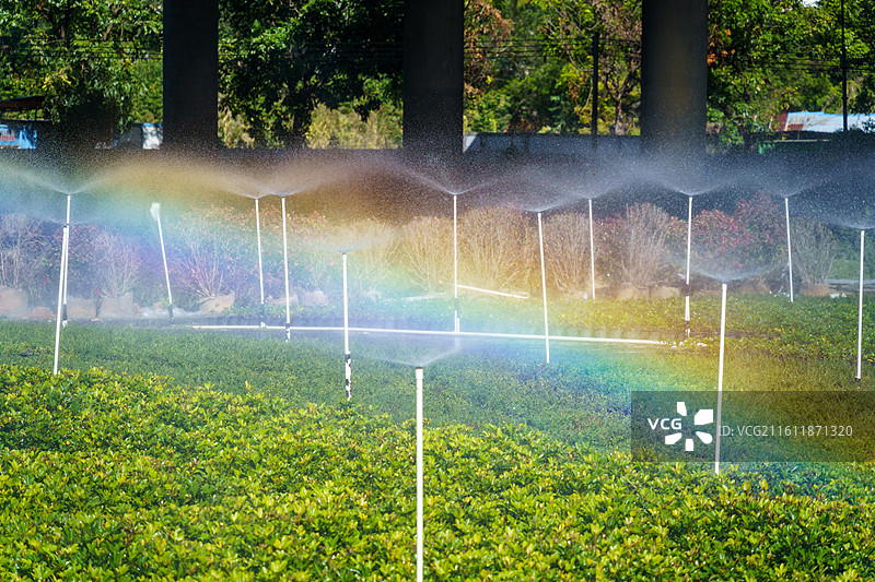 喷淋形成的彩虹图片素材