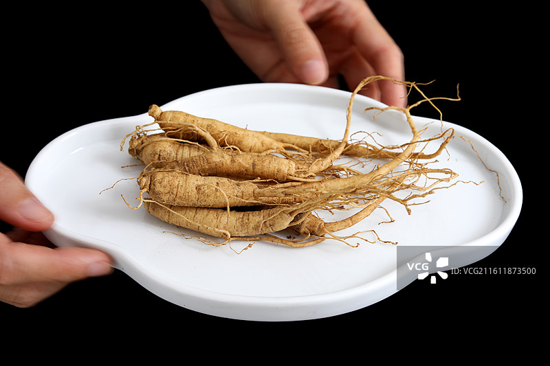 黑色背景盘子上的中国传统中医中药材滋补营养品新鲜生人参图片素材