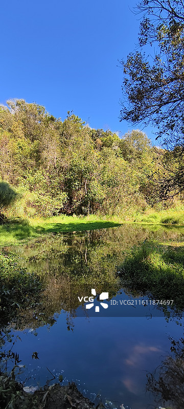云南普洱～太阳河国家森林公园-湿地图片素材
