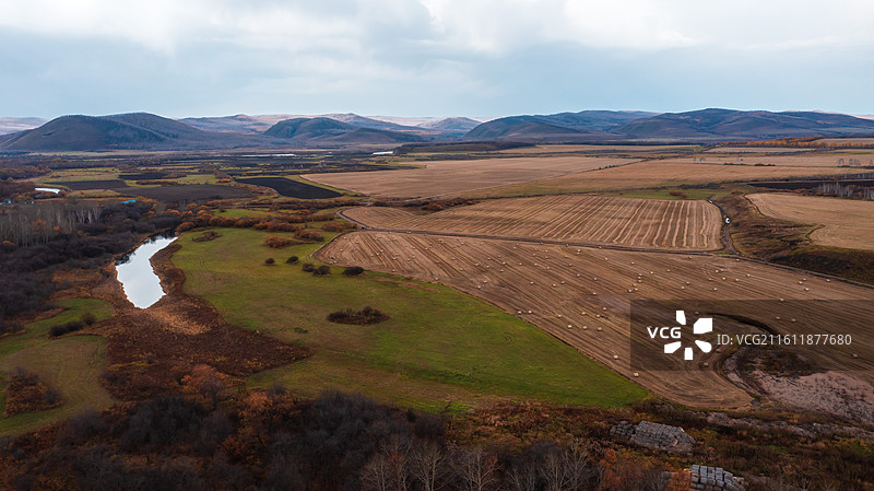 鹰栖彩林：石韦边陲的秋日凌空画卷图片素材