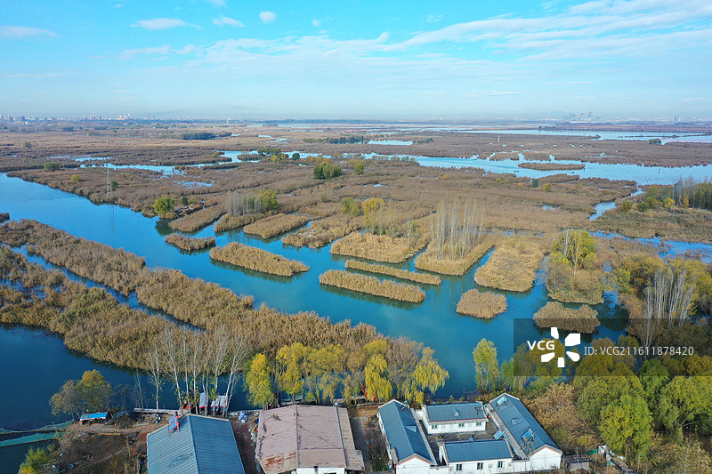 碧水连天映霞光，野鸭掠舞芦花黄  俯身临岸观舟远，银杏红叶风里扬  千岛万湖织洋淀，生态画卷韵悠长图片素材