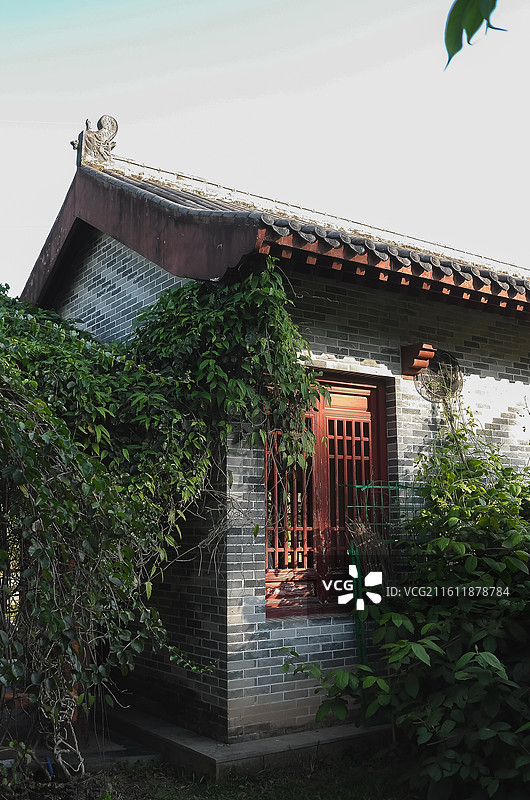 中国广东广州-中国科学院华南植物园-园林风景。徒步，散步，园林景色。奇花异草。图片素材