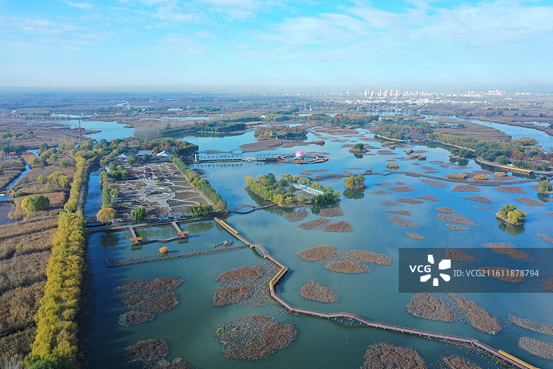 碧水连天映霞光，野鸭掠舞芦花黄  俯身临岸观舟远，银杏红叶风里扬  千岛万湖织洋淀，生态画卷韵悠长图片素材