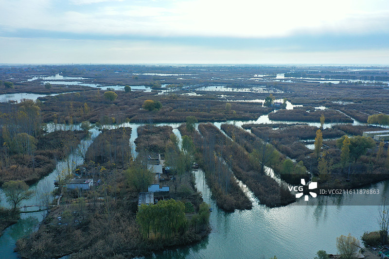 碧水连天映霞光，野鸭掠舞芦花黄  俯身临岸观舟远，银杏红叶风里扬  千岛万湖织洋淀，生态画卷韵悠长图片素材