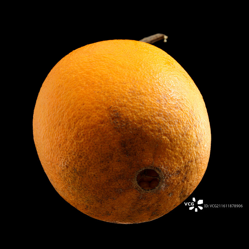 黑色背景上的一个新鲜水果江西赣南脐橙特写的白底图图片素材
