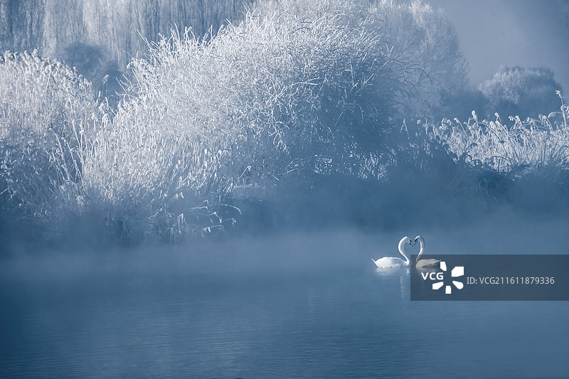 冬季恋歌图片素材